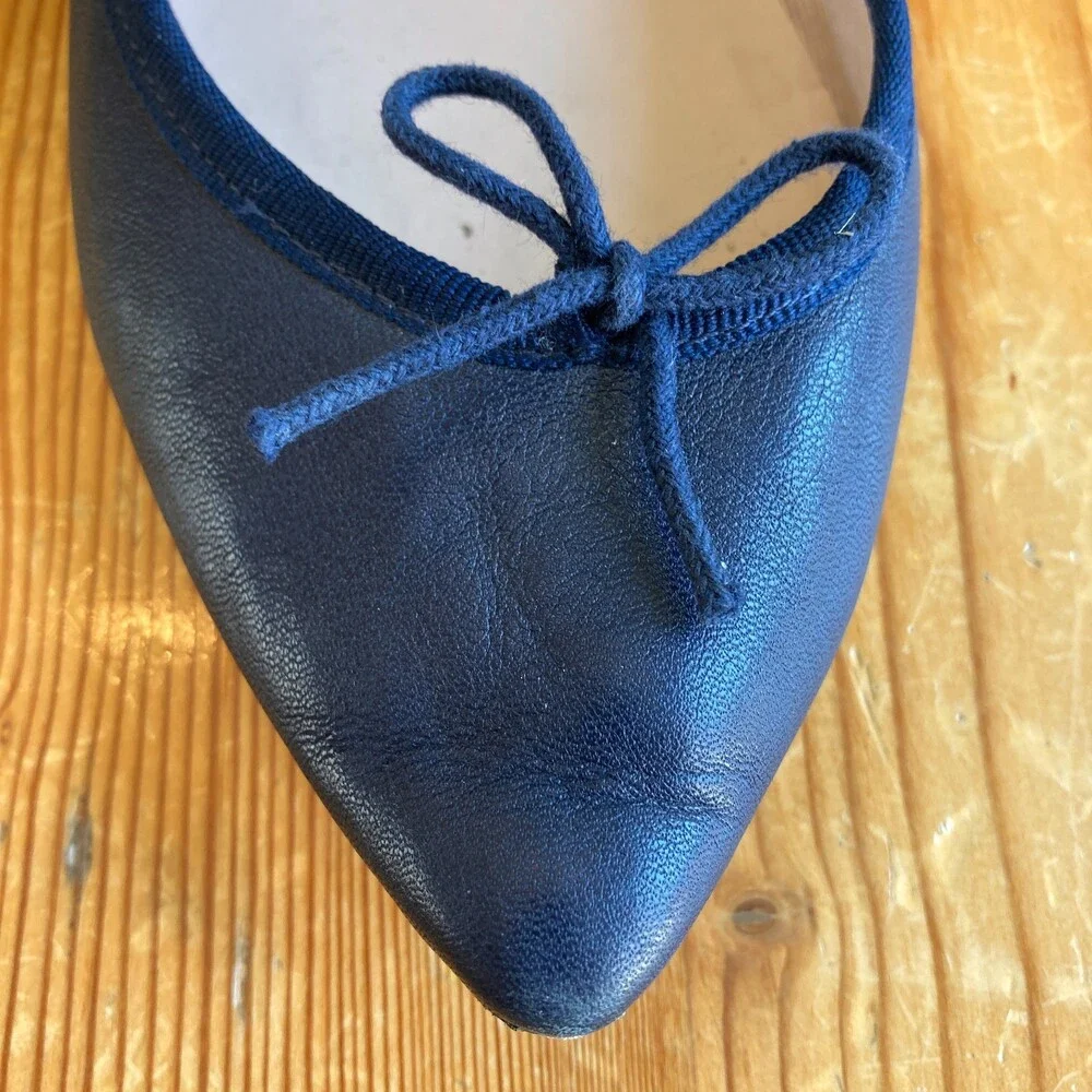Repetto elegant pointed